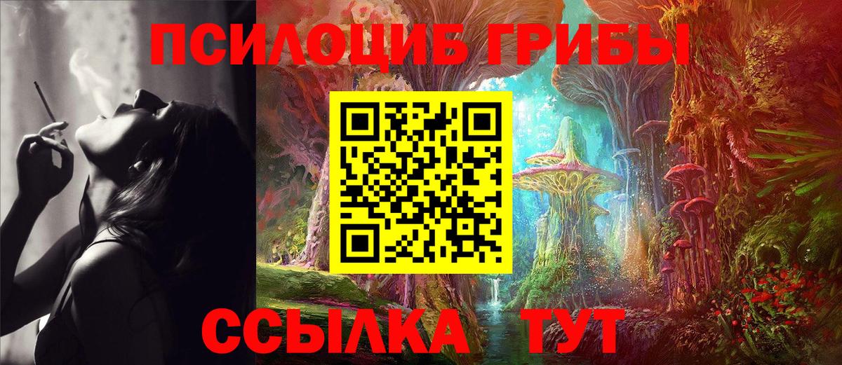 Псилоцибиновые грибы Psilocybe  Псилоцибиновые грибы Psilocybe  сколько стоит  Феодосия  Вход с VPN 